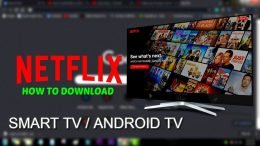 Download di Video Netflix con Movavi Screen Recorder