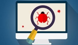Cosa Significa Bug? Come Si Trova un Bug?
