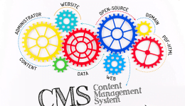 Che Cos’è il CMS (Content Management System)