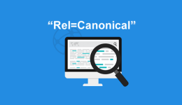 Cos’è il Canonical? Dove usare?