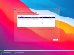 Windows 10 1909 MacOS Lite Edition x64 Febbraio 2021