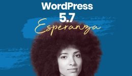 Nuovo aggiornamento WordPress 5.7 Esperanza, Approfondiamo