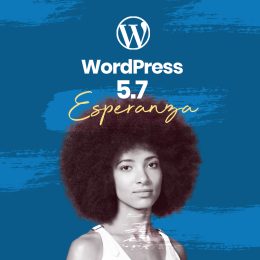 Nuovo aggiornamento WordPress 5.7 Esperanza, Approfondiamo