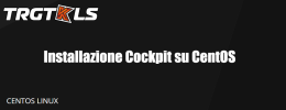 Cockpit, Installazione e funzionalità