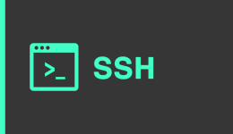 Come Pulire Il Terminale SSH