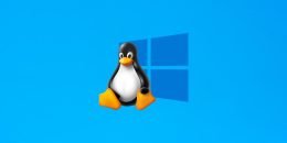 WSL; Linux su Windows 11, Installazione del Sottosistema