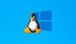 WSL; Linux su Windows 11, Installazione del Sottosistema