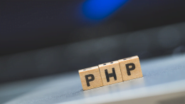 Cos’è Php X-RAY? Come Funziona?