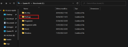 Cos’è la cartella Perflog? Possibile Eliminare?