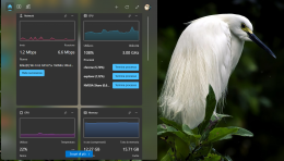 Windows 11 Widget per monitoraggio istantaneo, non devi più aprire il task manager