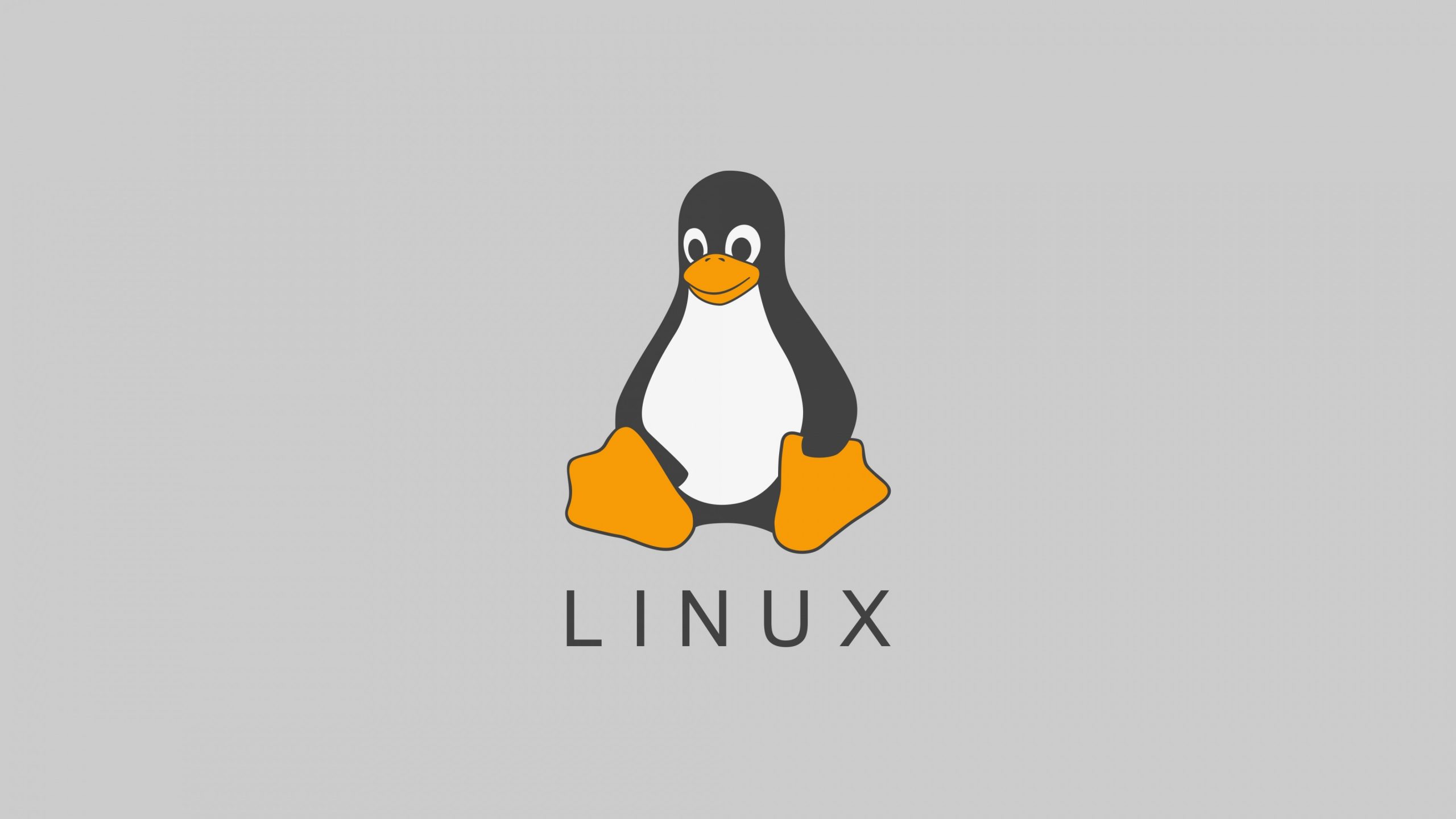 Migliori distribuzioni web server Linux 2023