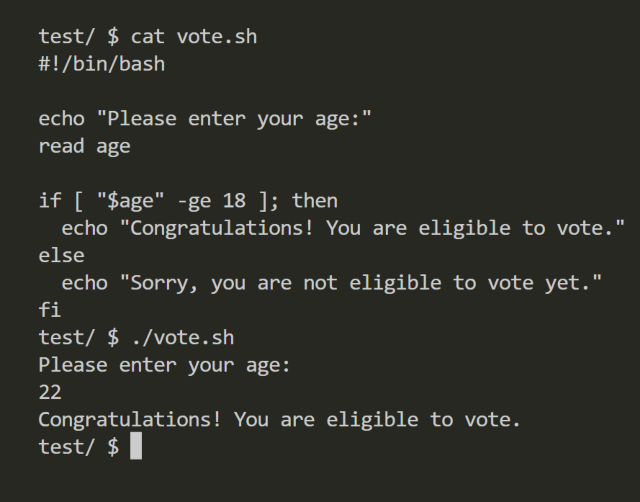 verificare l'idoneità al voto con uno script bash