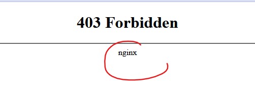 Versione nascosta di nginx