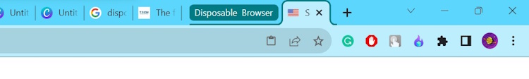 Un browser usa e getta attivo