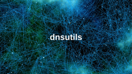 Installazione e utilizzo di dnsutils su ubuntu